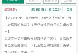 v1小说,穿越时空的奇幻冒险之旅